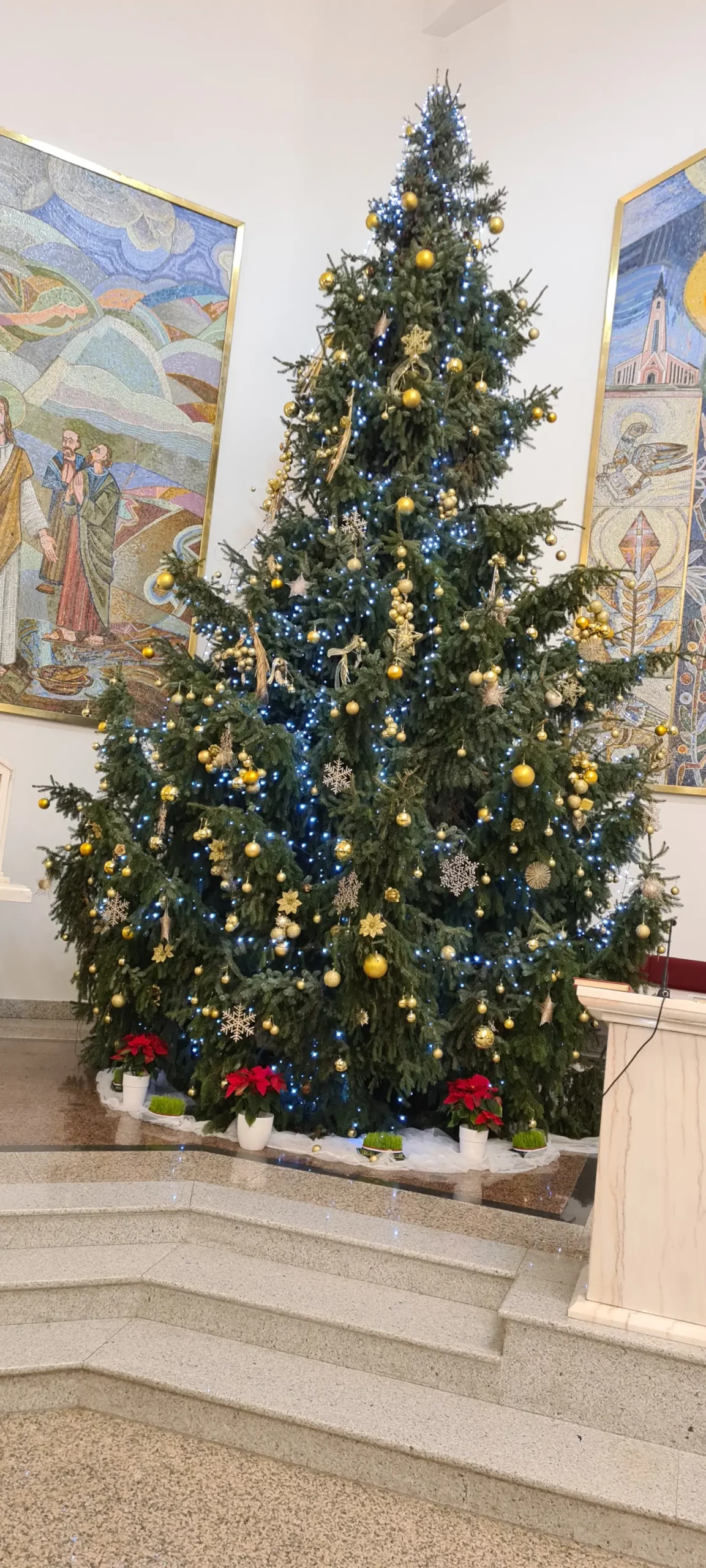 POLNOĆKA, JUG ČAKOVEC 2024 (3)