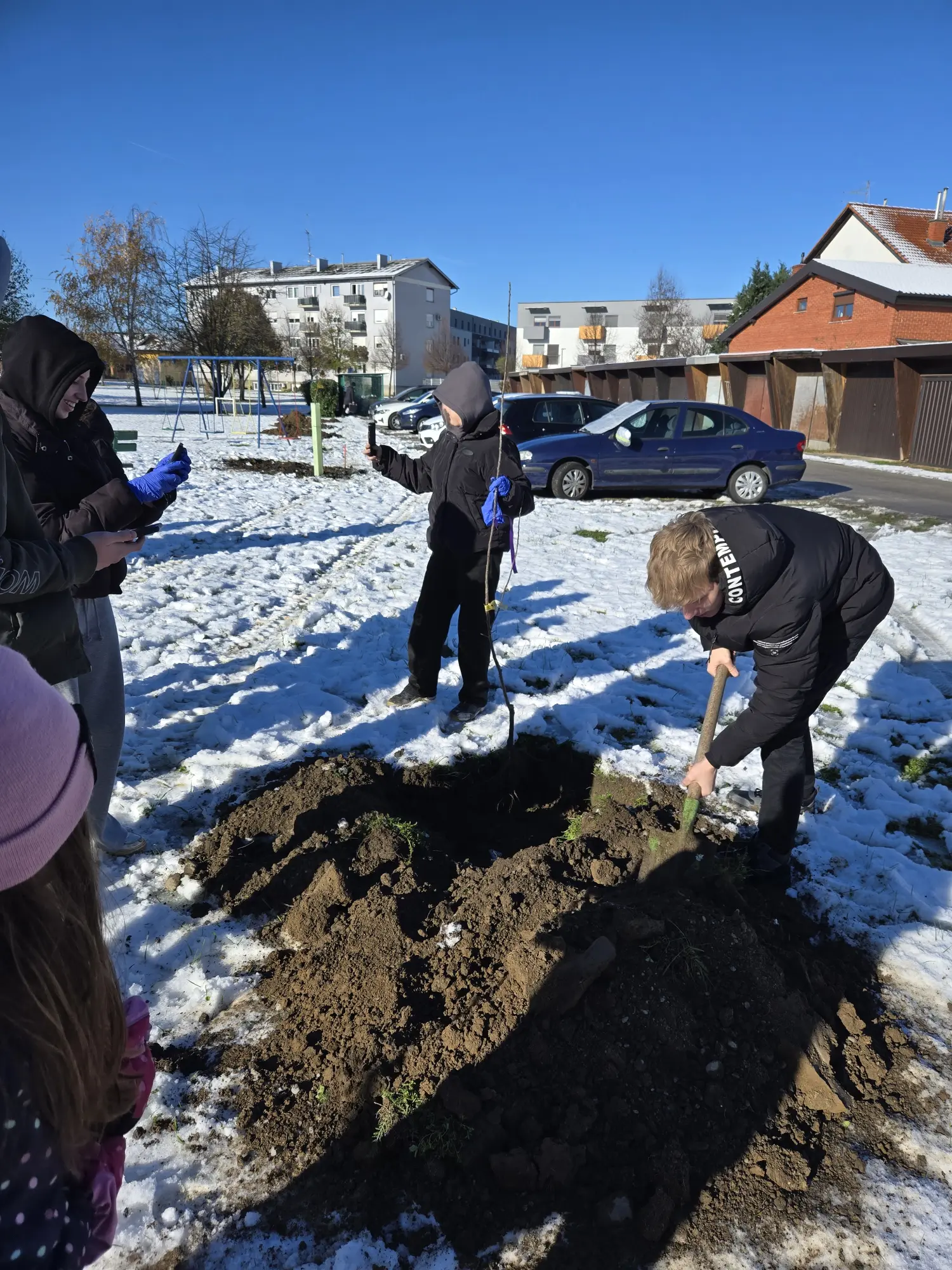 POŠUMLJAVANJE NOBILIS 25.11.2024 (2) POŠUMLJAVANJE NOBILIS 25.11.2024 (2)