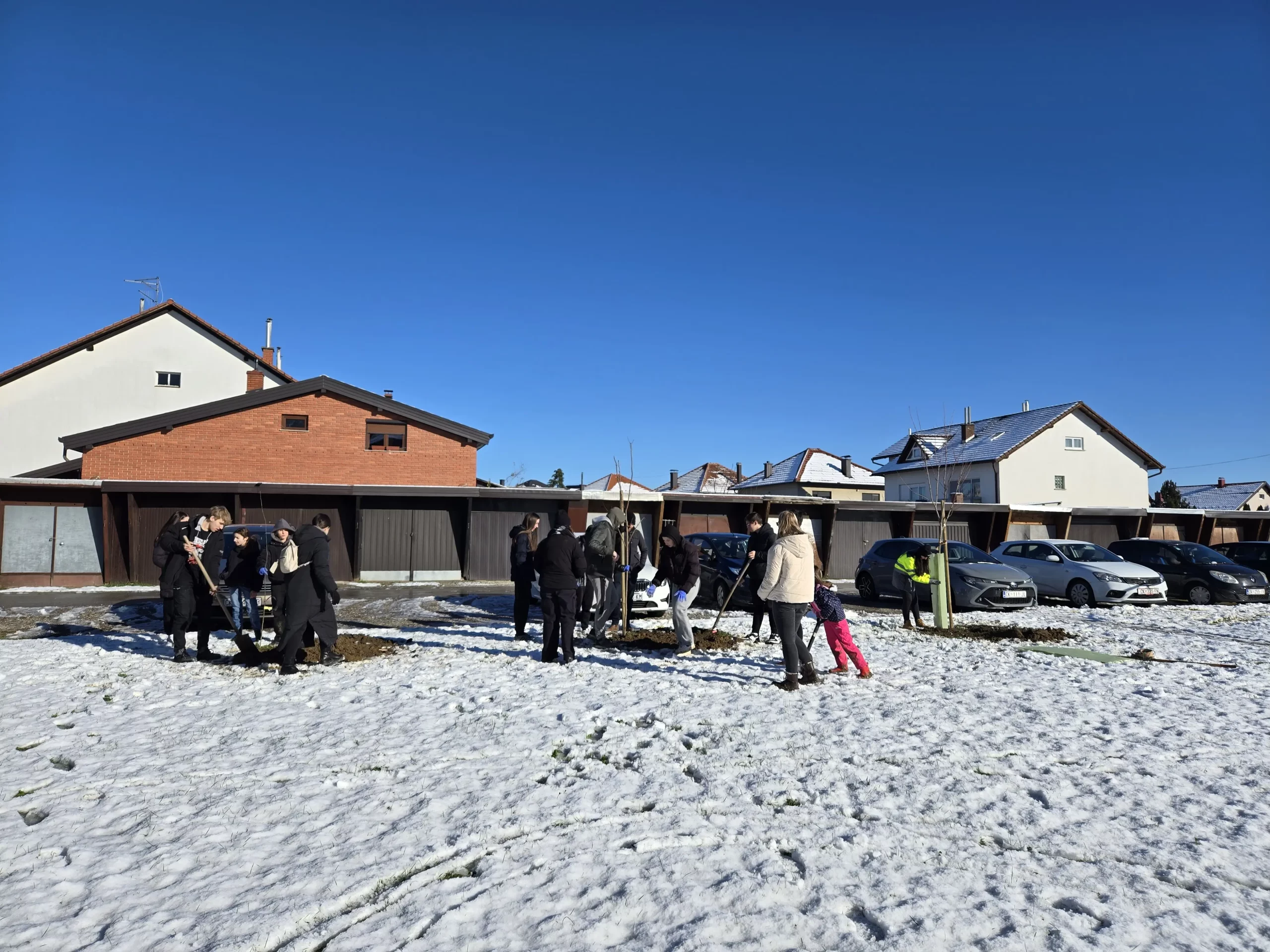 POŠUMLJAVANJE NOBILIS 25.11.2024 (3) POŠUMLJAVANJE NOBILIS 25.11.2024 (3)