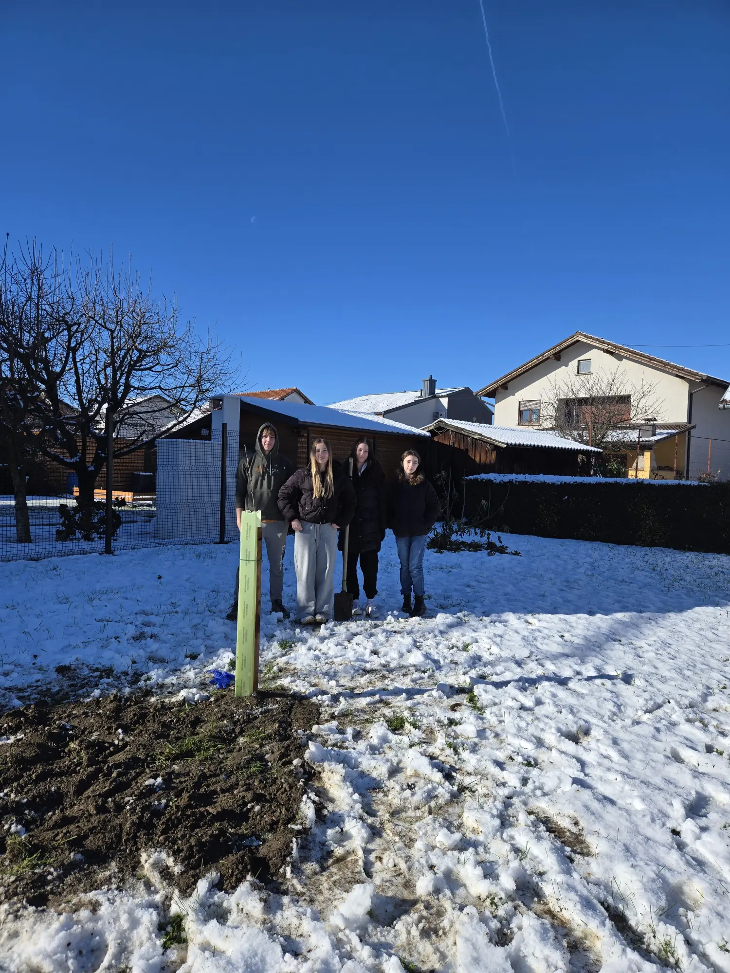 POŠUMLJAVANJE NOBILIS 25.11.2024 (4) POŠUMLJAVANJE NOBILIS 25.11.2024 (4)