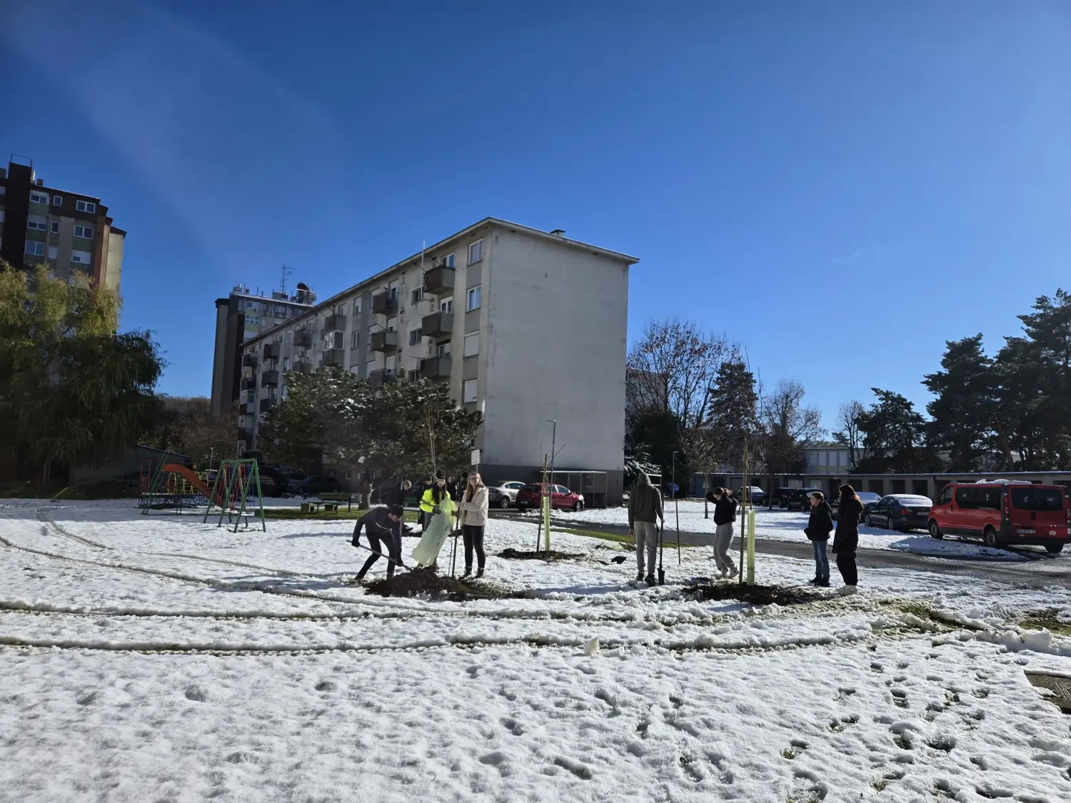 POŠUMLJAVANJE NOBILIS 25.11.2024 (6) POŠUMLJAVANJE NOBILIS 25.11.2024 (6)