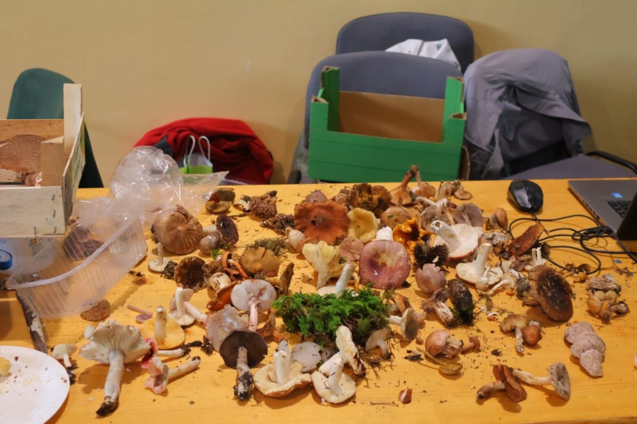 POTPISANA POVELJA Prijateljstvo ‘Smrčka’ i ‘Ježeka’ potvrđeno na ‘Ježkarijadi’ (5)