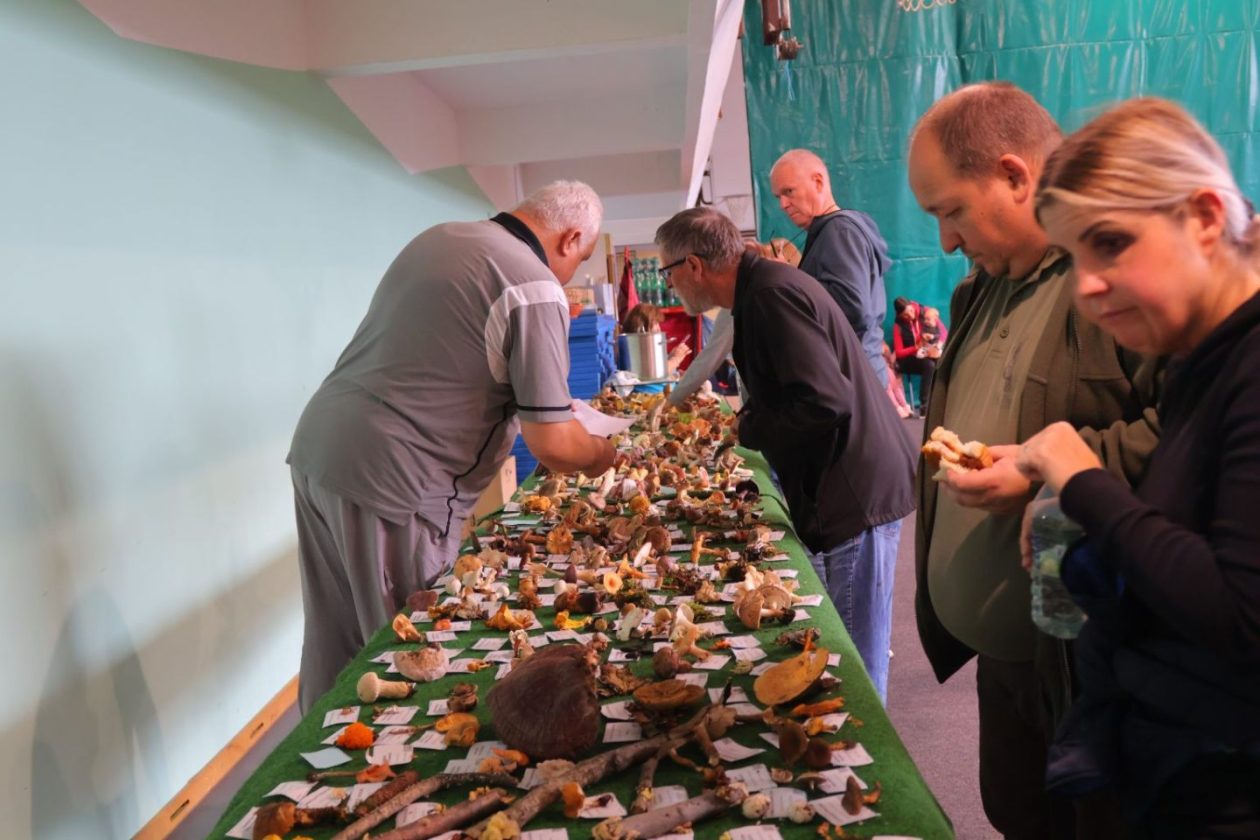 POTPISANA POVELJA Prijateljstvo ‘Smrčka’ i ‘Ježeka’ potvrđeno na ‘Ježkarijadi’ (6)