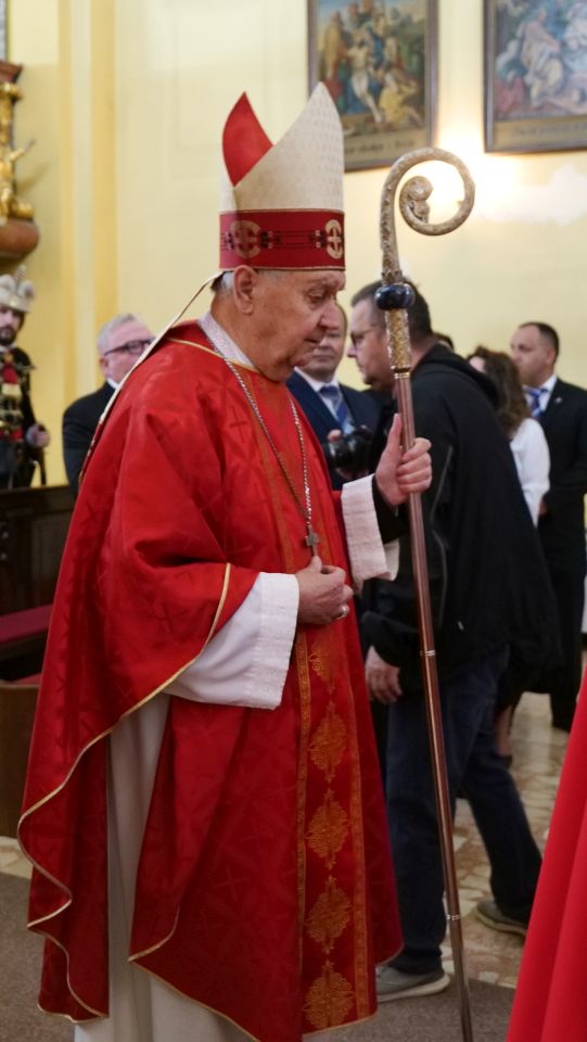 POVIJESNI MIMOHOD Čakovec u znaku Zrinskih, Frankopana i postrojbi iz tri države (14)