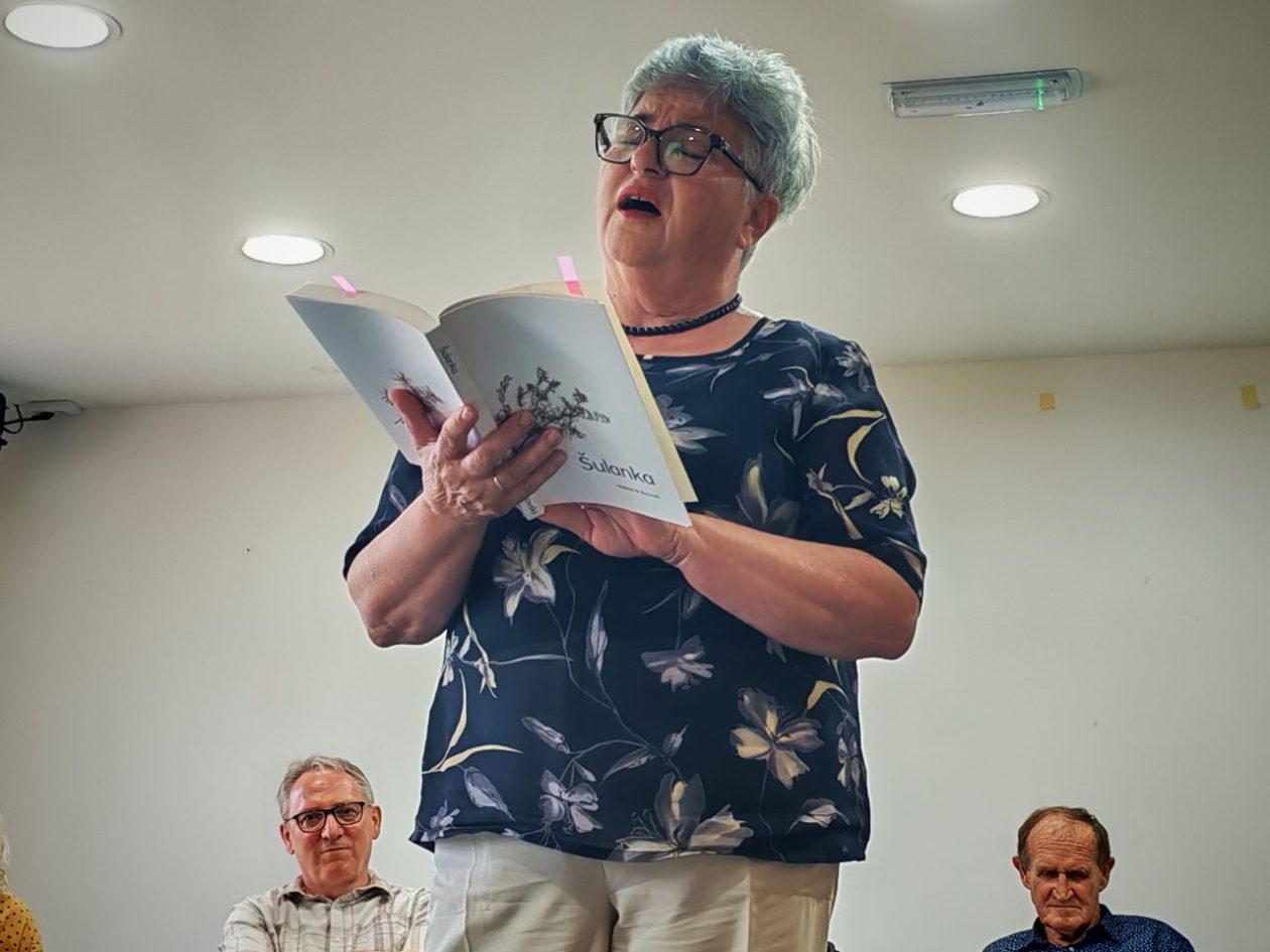 PREDSTAVLJENE KNJIGE “Fanika i Slavek” i “Šulanka” oduševile publiku u Selnici (12)
