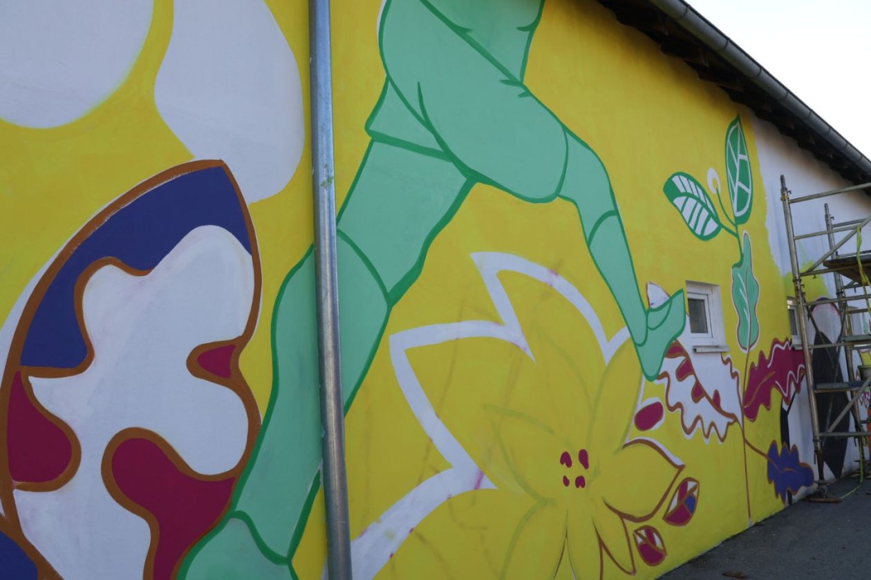 PRELOG Prekrasan mural niče na zidu NK Mladost Prelog (2)