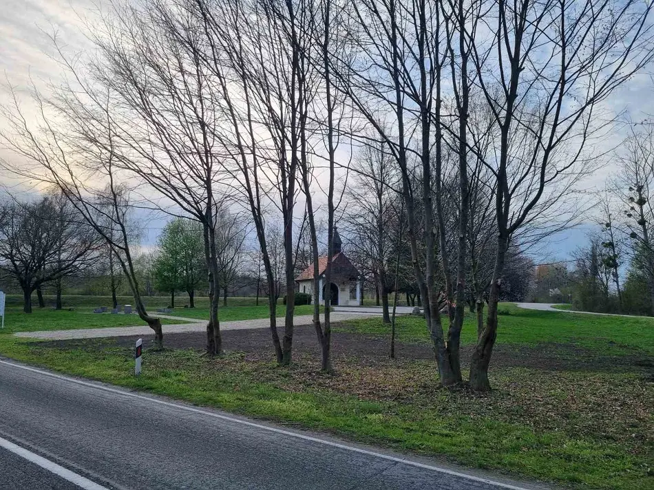 PRELOG projekti (11)