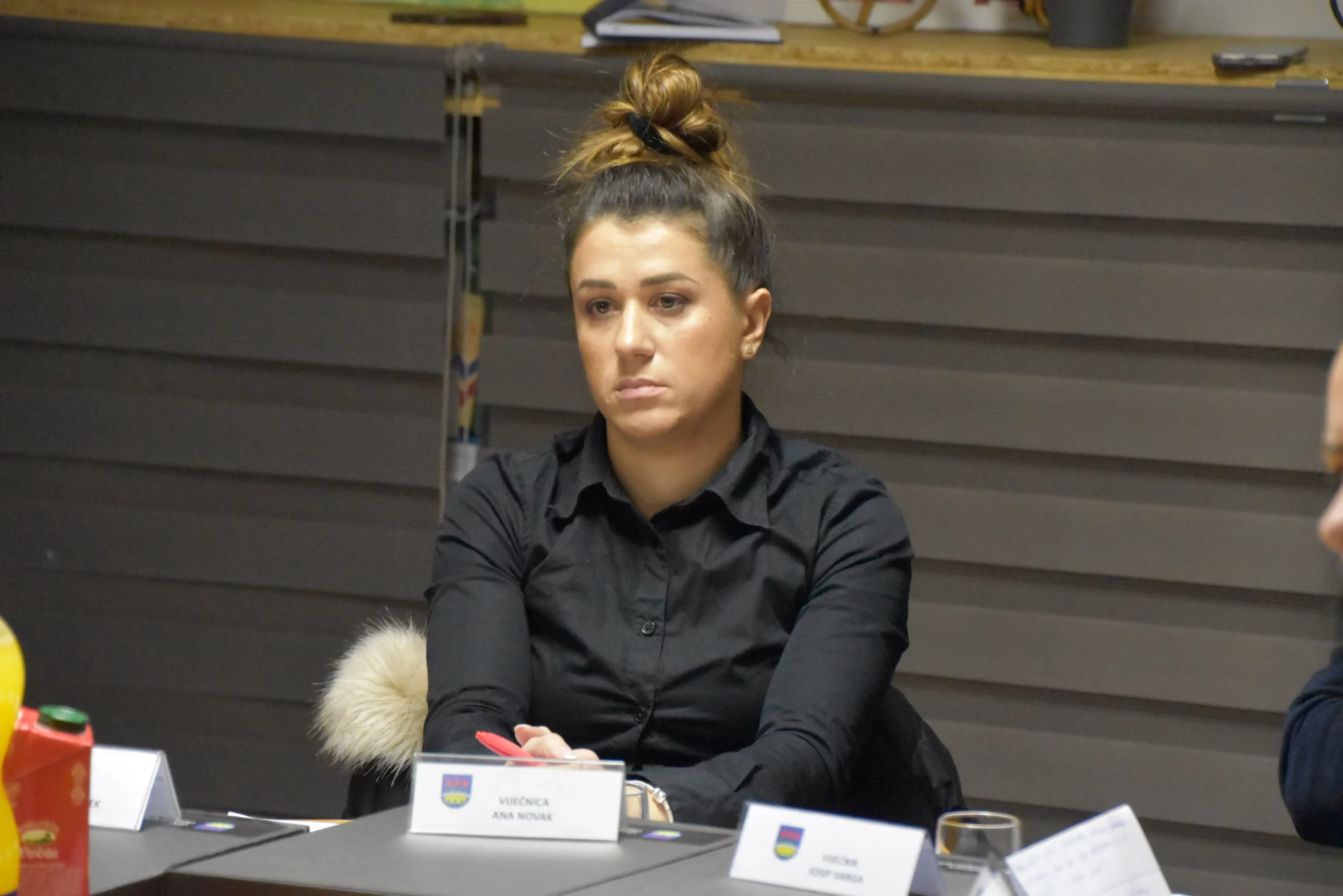 PRIBISLAVEC Proračun – sjednica (13)