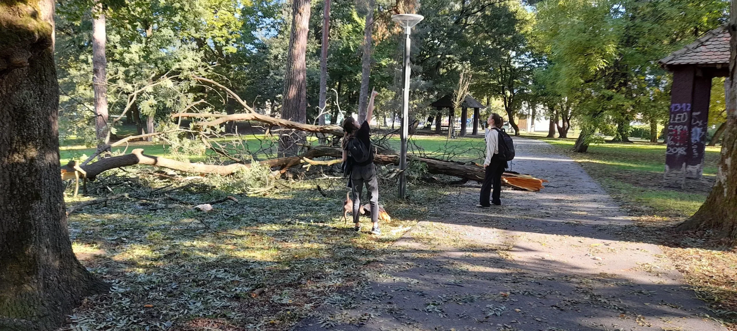 PRIPAZITE Jak vjetar srušio granu u čakovečkom parku Šetači u šoku gledali prema krošnjama (1) PRIPAZITE Jak vjetar srušio granu u čakovečkom parku Šetači u šoku gledali prema krošnjama (1)