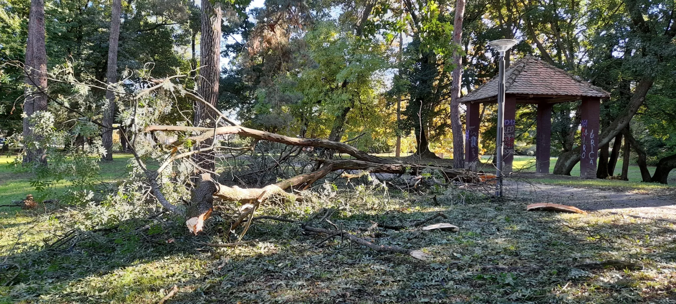 PRIPAZITE Jak vjetar srušio granu u čakovečkom parku Šetači u šoku gledali prema krošnjama (3) PRIPAZITE Jak vjetar srušio granu u čakovečkom parku Šetači u šoku gledali prema krošnjama (3)