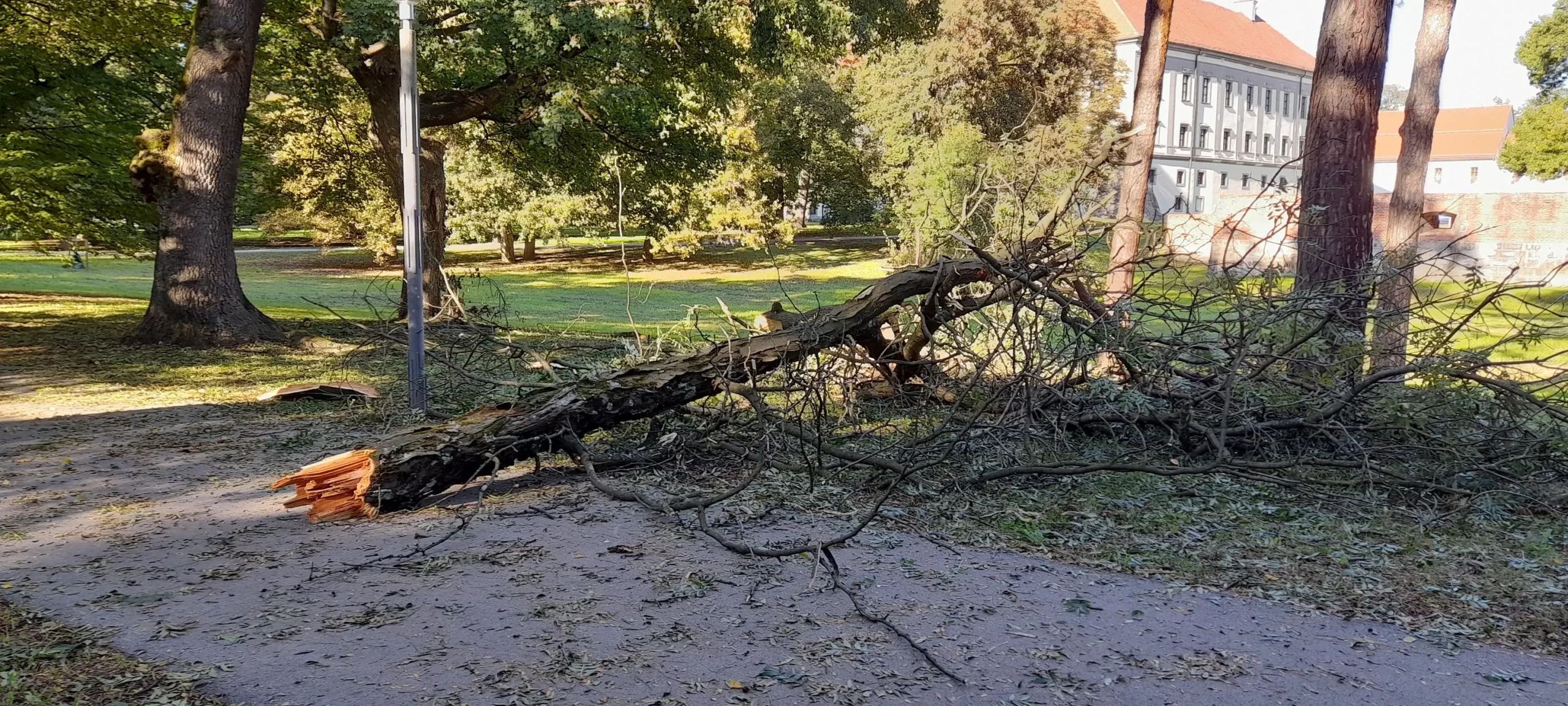 PRIPAZITE Jak vjetar srušio granu u čakovečkom parku Šetači u šoku gledali prema krošnjama (4) PRIPAZITE Jak vjetar srušio granu u čakovečkom parku Šetači u šoku gledali prema krošnjama (4)
