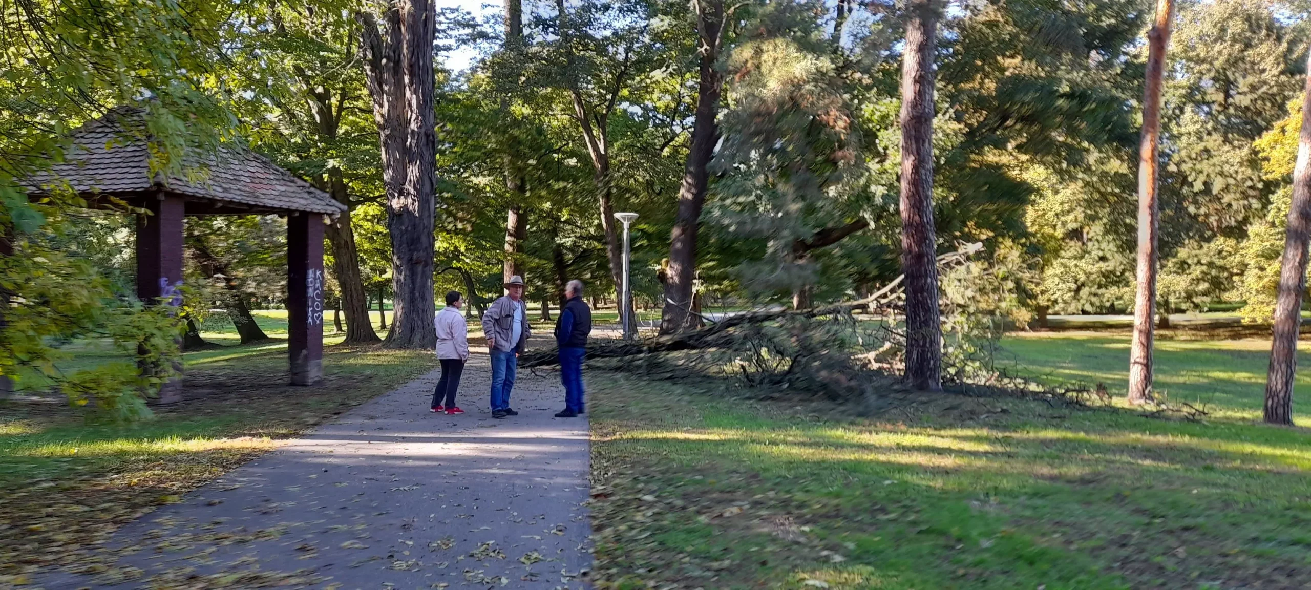 PRIPAZITE Jak vjetar srušio granu u čakovečkom parku Šetači u šoku gledali prema krošnjama (5) PRIPAZITE Jak vjetar srušio granu u čakovečkom parku Šetači u šoku gledali prema krošnjama (5)