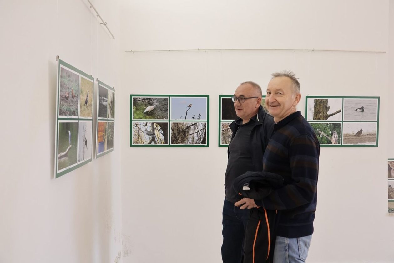 PRIRODNA LJEPOTA Otvorena izložba „Ftiči med Murom, Dravom i Trnavom“ u Čakovcu (15) PRIRODNA LJEPOTA Otvorena izložba „Ftiči med Murom, Dravom i Trnavom“ u Čakovcu (15)