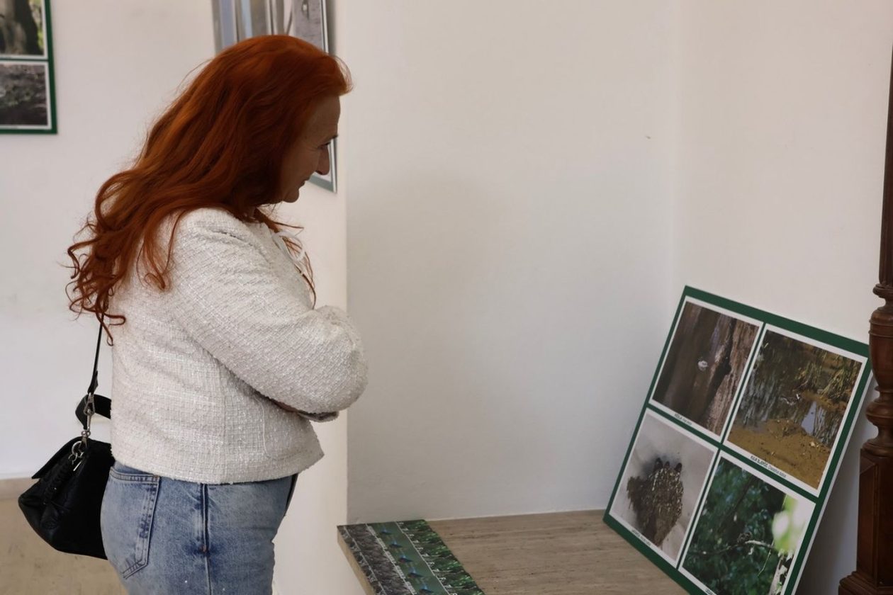 PRIRODNA LJEPOTA Otvorena izložba „Ftiči med Murom, Dravom i Trnavom“ u Čakovcu (16) PRIRODNA LJEPOTA Otvorena izložba „Ftiči med Murom, Dravom i Trnavom“ u Čakovcu (16)