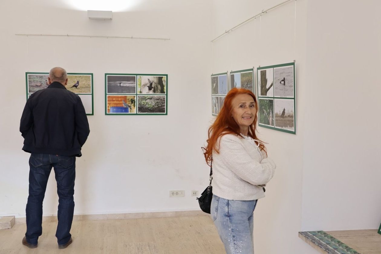 PRIRODNA LJEPOTA Otvorena izložba „Ftiči med Murom, Dravom i Trnavom“ u Čakovcu (17) PRIRODNA LJEPOTA Otvorena izložba „Ftiči med Murom, Dravom i Trnavom“ u Čakovcu (17)