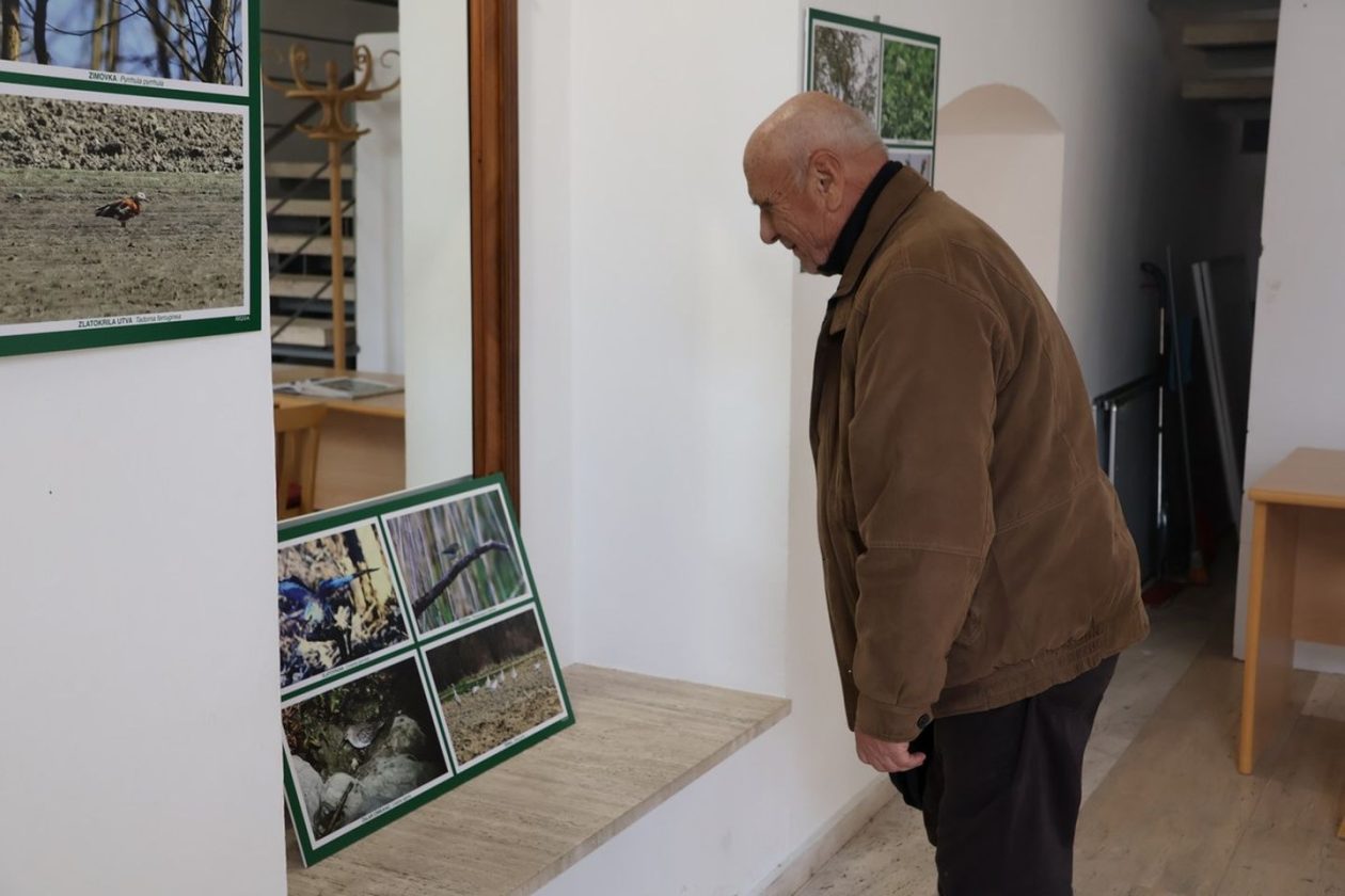 PRIRODNA LJEPOTA Otvorena izložba „Ftiči med Murom, Dravom i Trnavom“ u Čakovcu (19) PRIRODNA LJEPOTA Otvorena izložba „Ftiči med Murom, Dravom i Trnavom“ u Čakovcu (19)