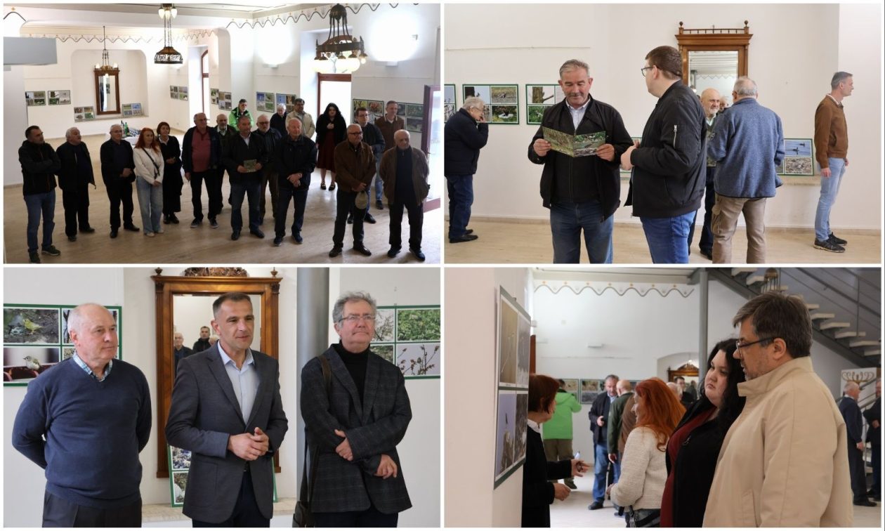 PRIRODNA LJEPOTA Otvorena izložba „Ftiči med Murom, Dravom i Trnavom“ u Čakovcu (20) PRIRODNA LJEPOTA Otvorena izložba „Ftiči med Murom, Dravom i Trnavom“ u Čakovcu (20)