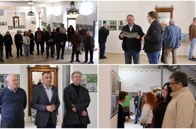 PRIRODNA LJEPOTA Otvorena izložba „Ftiči med Murom, Dravom i Trnavom“ u Čakovcu (20) PRIRODNA LJEPOTA Otvorena izložba „Ftiči med Murom, Dravom i Trnavom“ u Čakovcu (20)