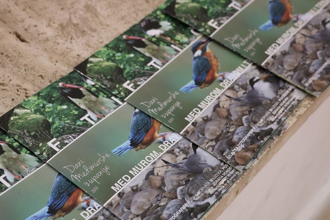 PRIRODNA LJEPOTA Otvorena izložba „Ftiči med Murom, Dravom i Trnavom“ u Čakovcu (6) PRIRODNA LJEPOTA Otvorena izložba „Ftiči med Murom, Dravom i Trnavom“ u Čakovcu (6)