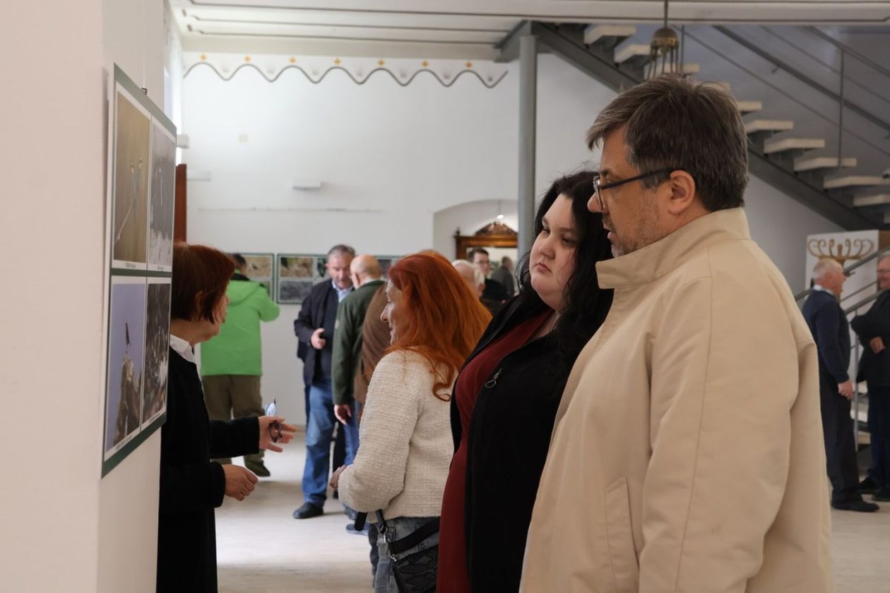 PRIRODNA LJEPOTA Otvorena izložba „Ftiči med Murom, Dravom i Trnavom“ u Čakovcu (7) PRIRODNA LJEPOTA Otvorena izložba „Ftiči med Murom, Dravom i Trnavom“ u Čakovcu (7)