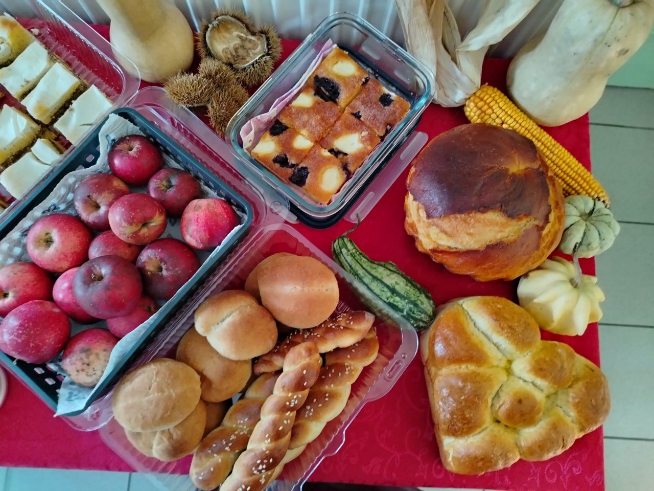 PŠ Krištanovec dani kruha (5)