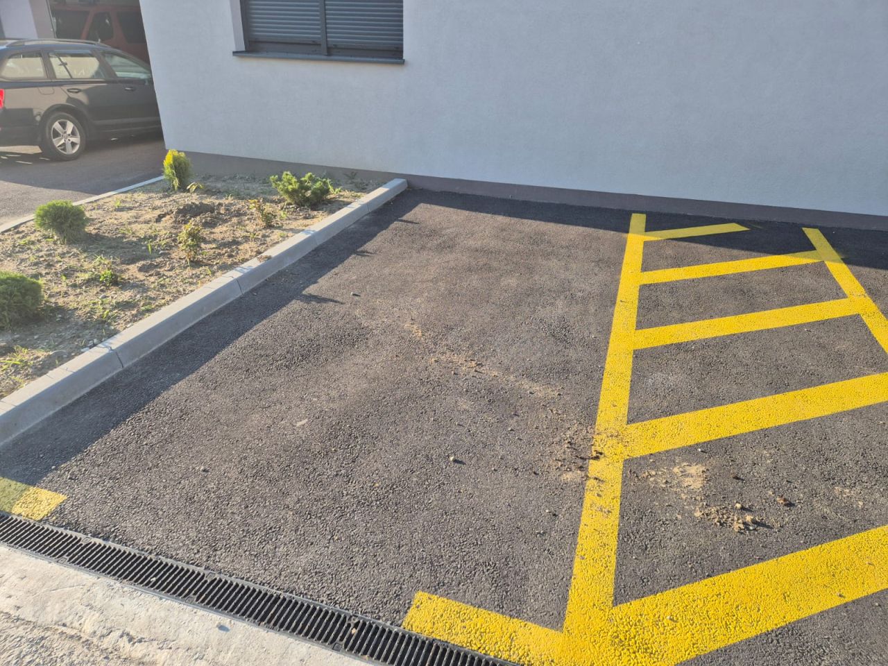 PUŠĆINE Tko uništava trud vrijednih mještanki (3)