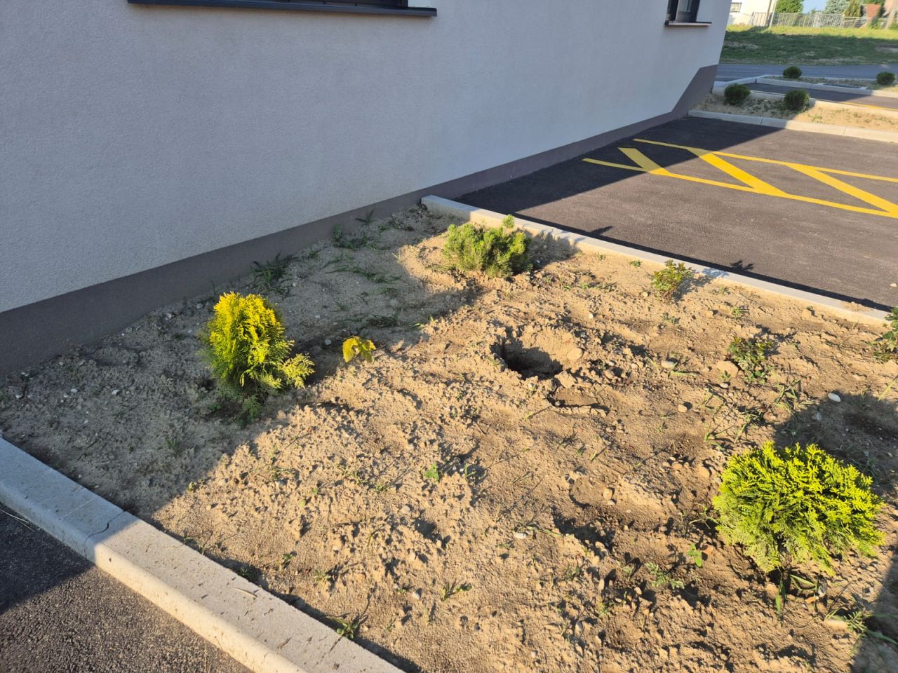 PUŠĆINE Tko uništava trud vrijednih mještanki (4)