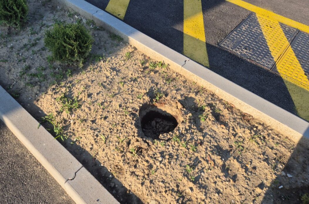 PUŠĆINE Tko uništava trud vrijednih mještanki (9)