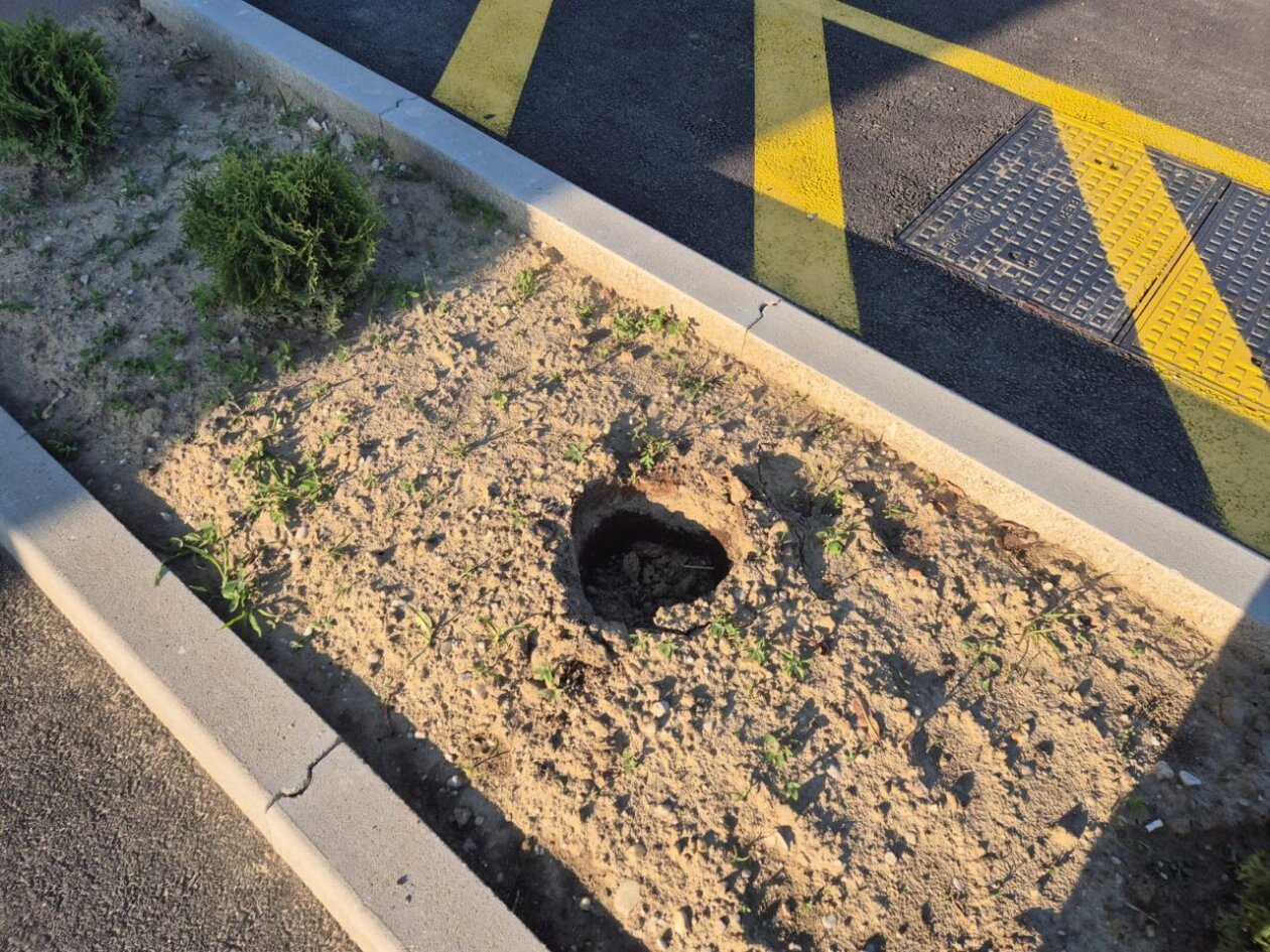 PUŠĆINE Tko uništava trud vrijednih mještanki (9)