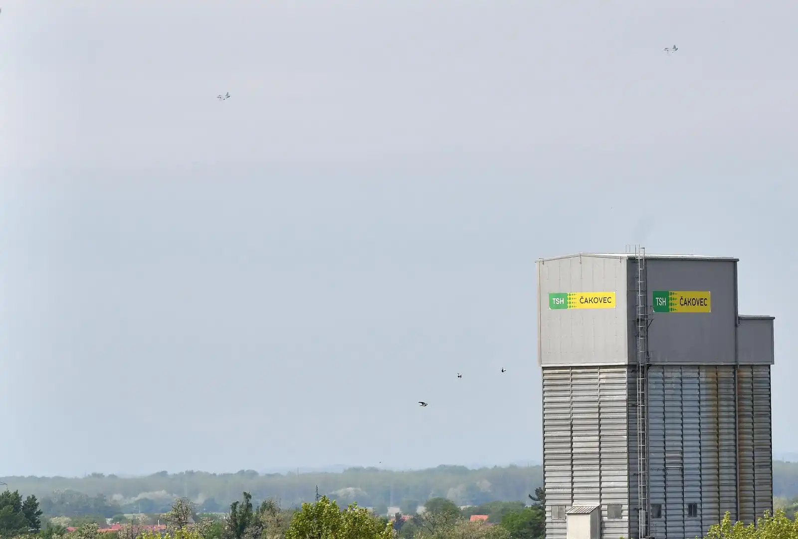 PXL_010524_113874121 PXL_010524_113874121