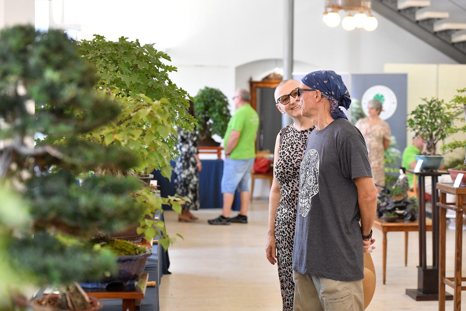 Čakovec: Gradonačelnica Ljerka Cividini razgledala je izložbu Bonsai stabala