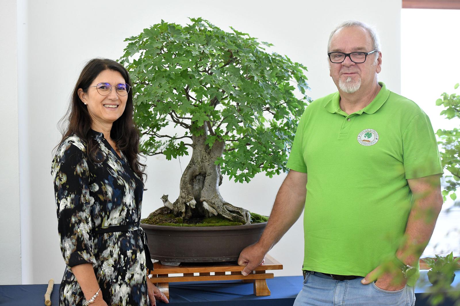 Čakovec: Gradonačelnica Ljerka Cividini razgledala je izložbu Bonsai stabala
