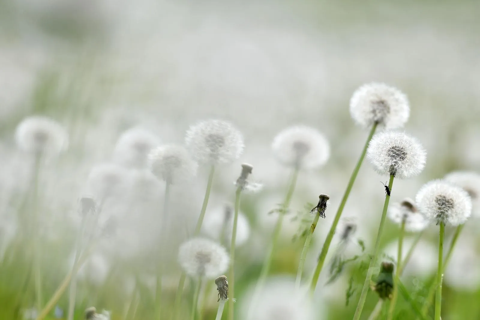 PXL_080424_112752309