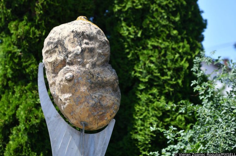 Posebni spomenici međimurskih općina