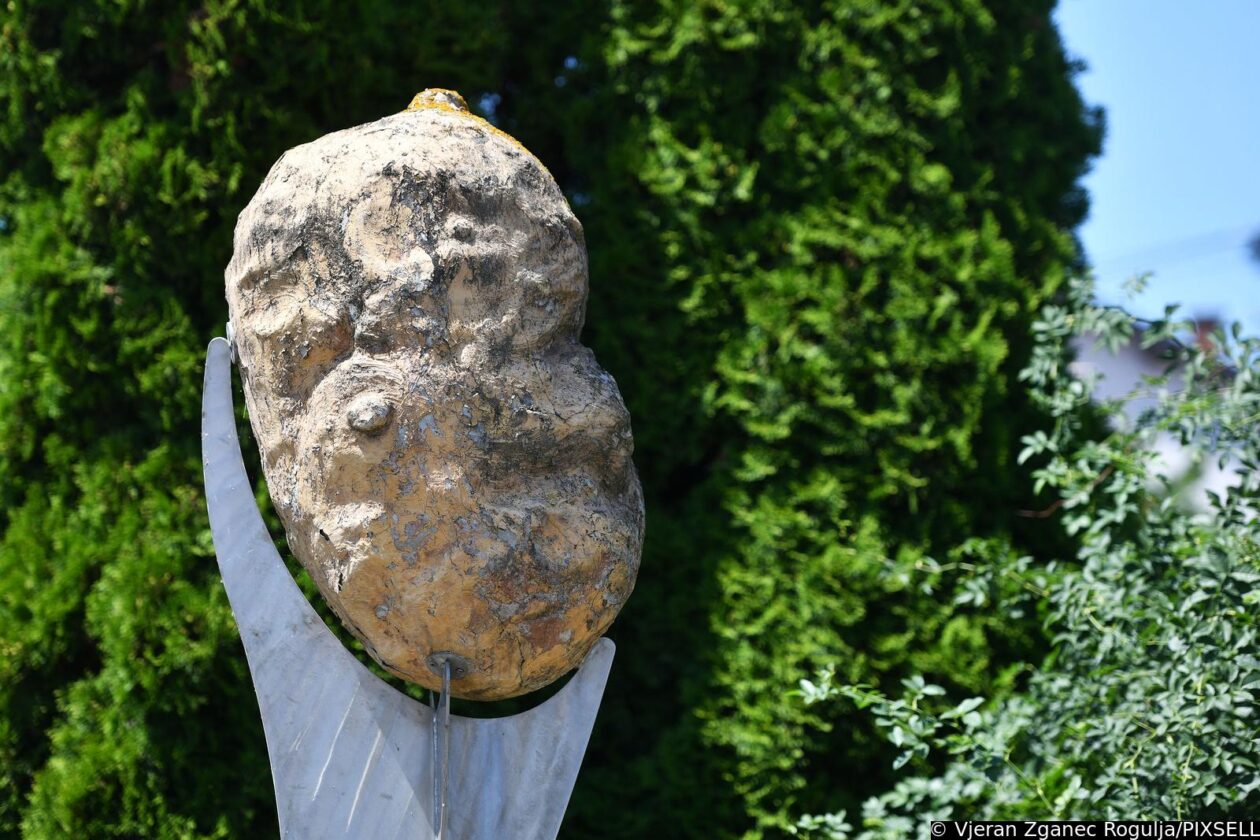 Spomenik krumpiru Belica