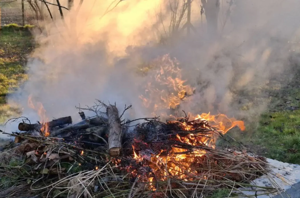 Paljenje grana (2) Paljenje grana (2)