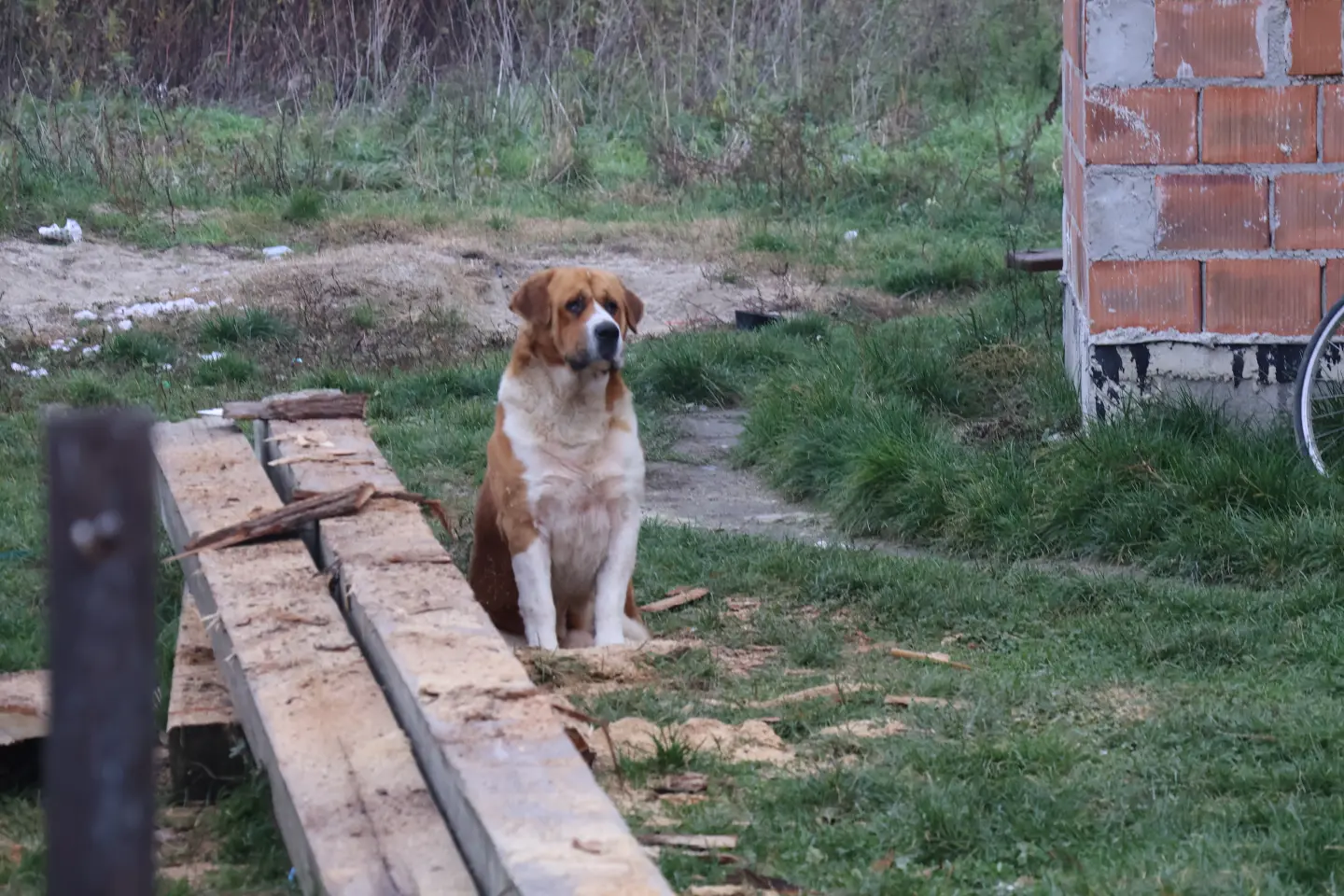 Parag, Božinović (105)