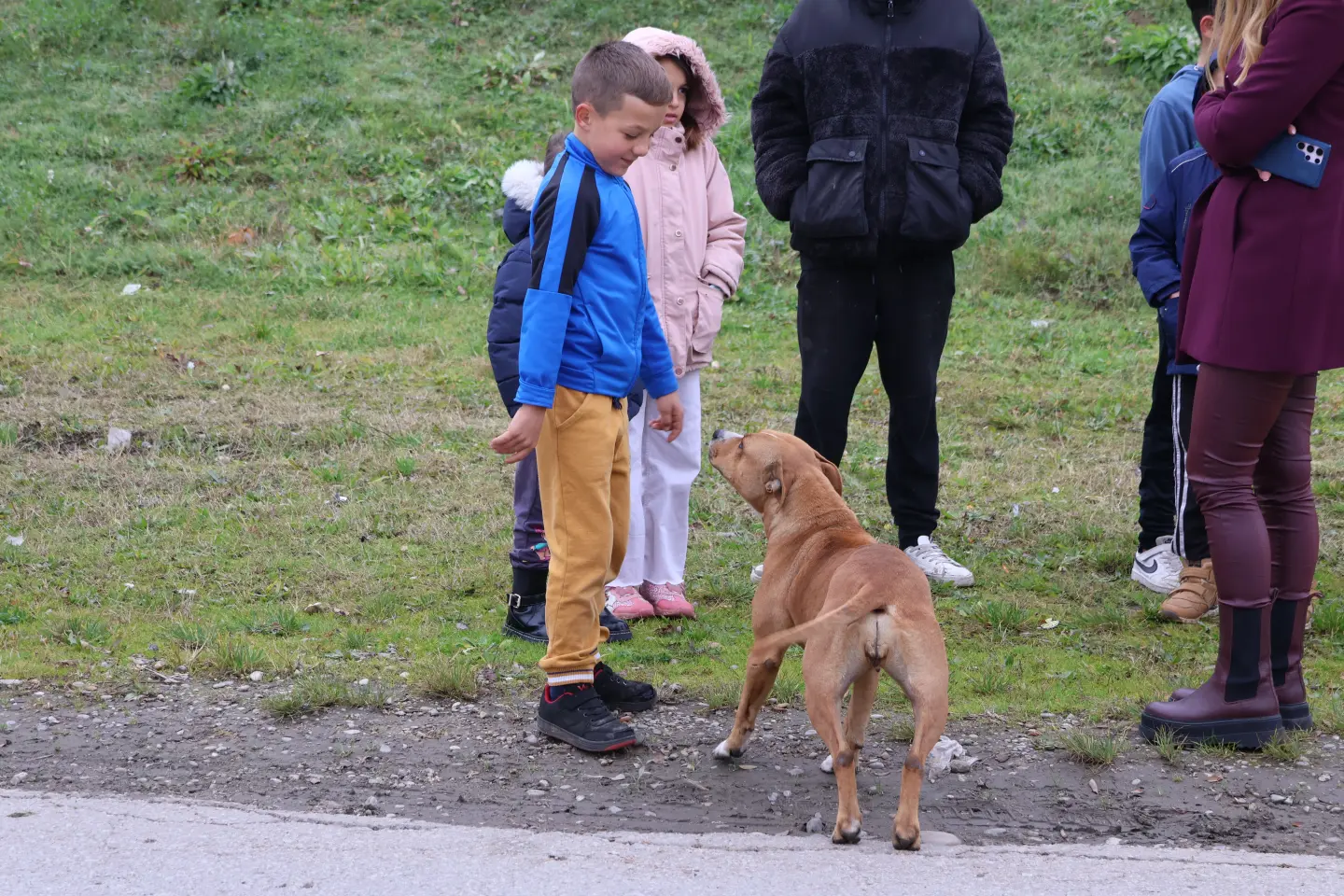 Parag, Božinović (18)