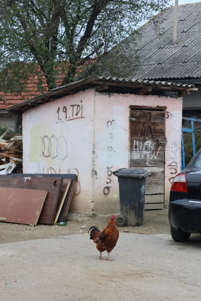 Parag, Božinović (84)