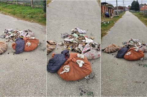 Parag naslovna smeće