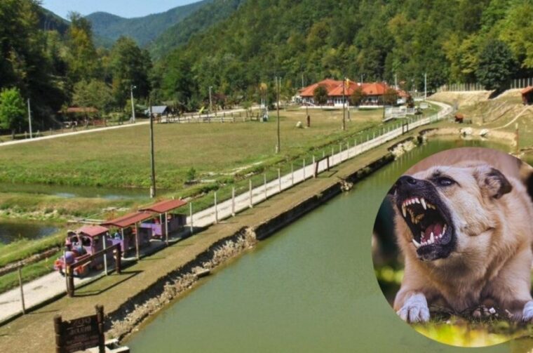 Park-Divlje-vode-1024×576