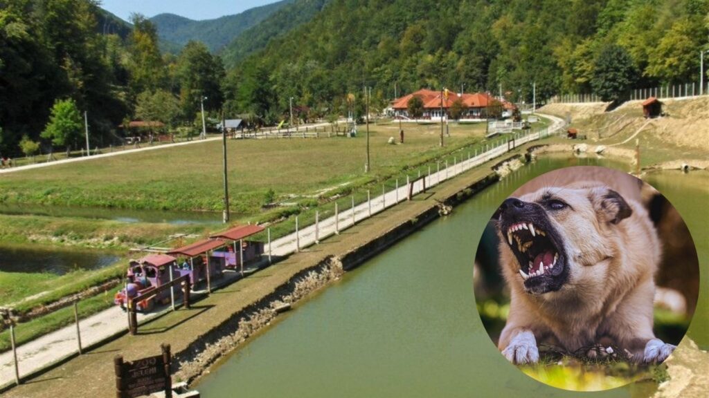 Park-Divlje-vode-1024×576