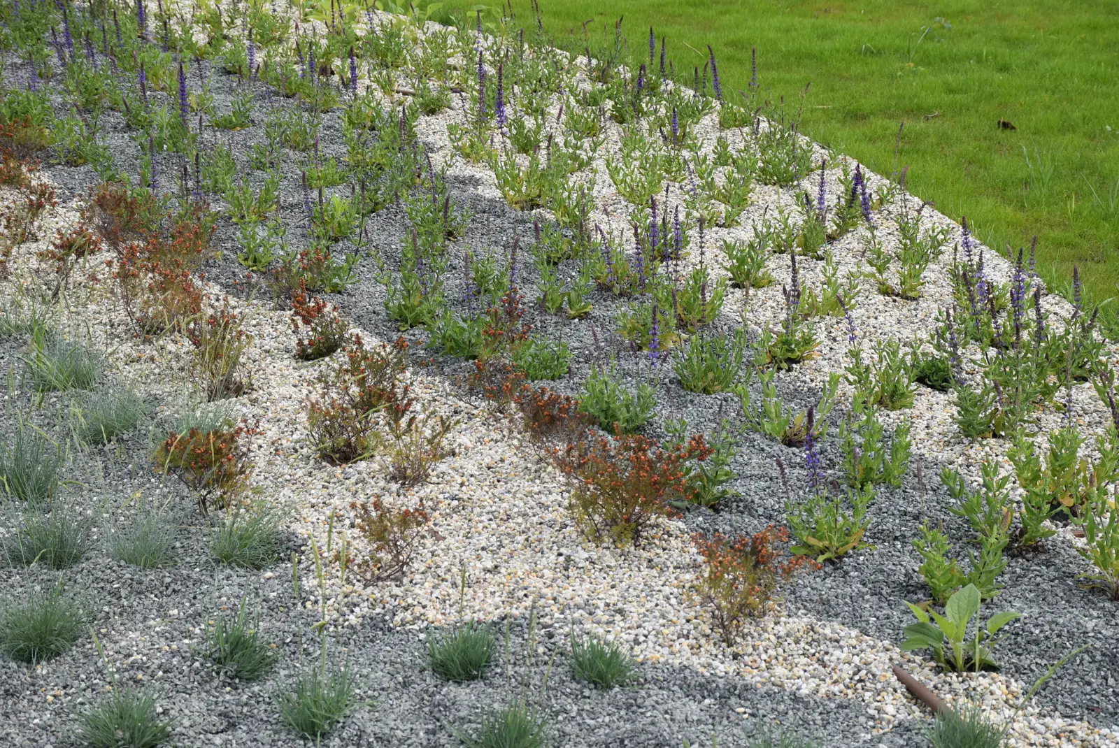 Park, Prelog, Snježana Balent i Melani (11) Park, Prelog, Snježana Balent i Melani (11)