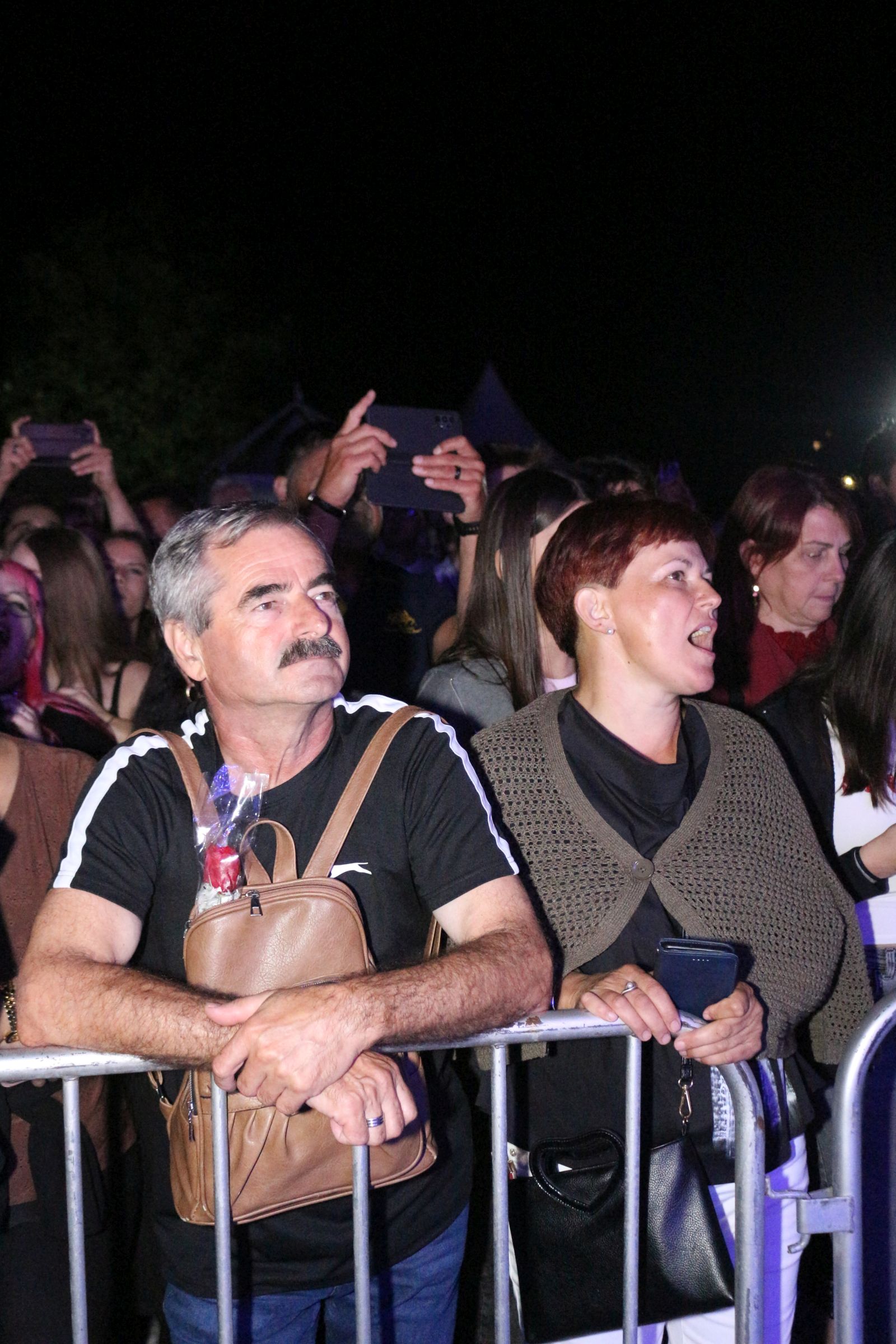 Parni valjak 0308 50 Parni valjak 0308 50