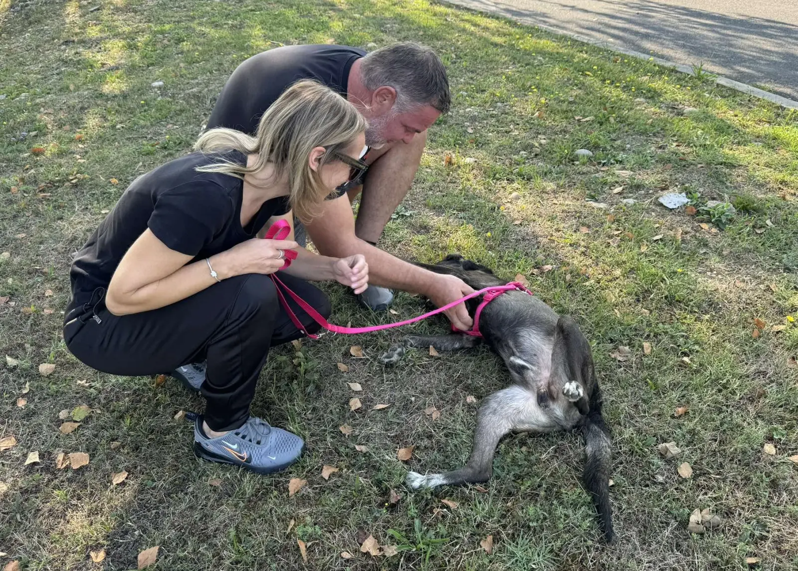 Pas Beni, udomljavanje pasa (2)