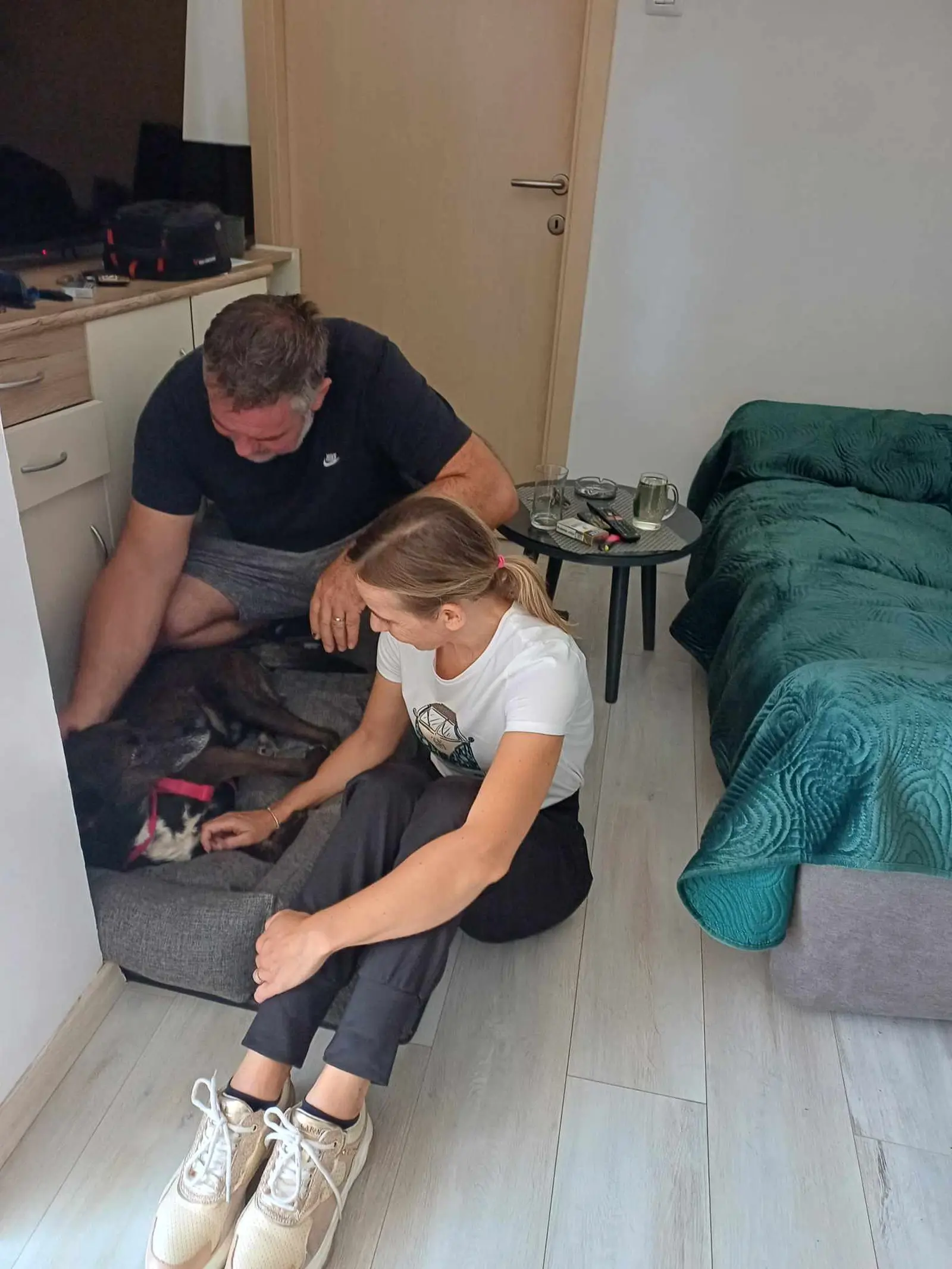 Pas Beni, udomljavanje pasa (3)