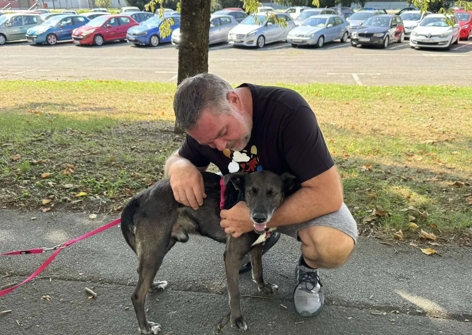 Pas Beni, udomljavanje pasa (4)