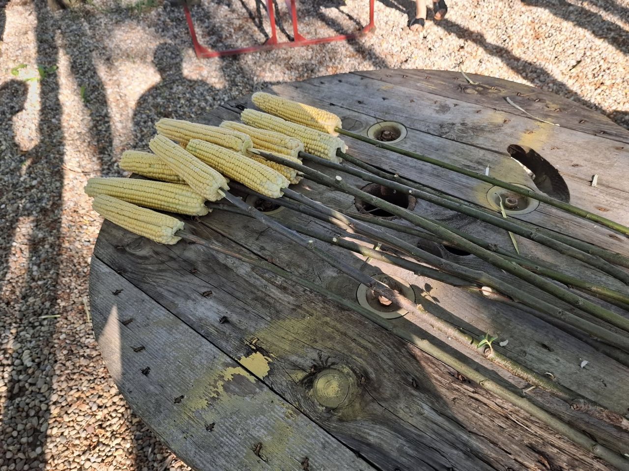 Pečenica party Goričan 2025 (8) Pečenica party Goričan 2025 (8)