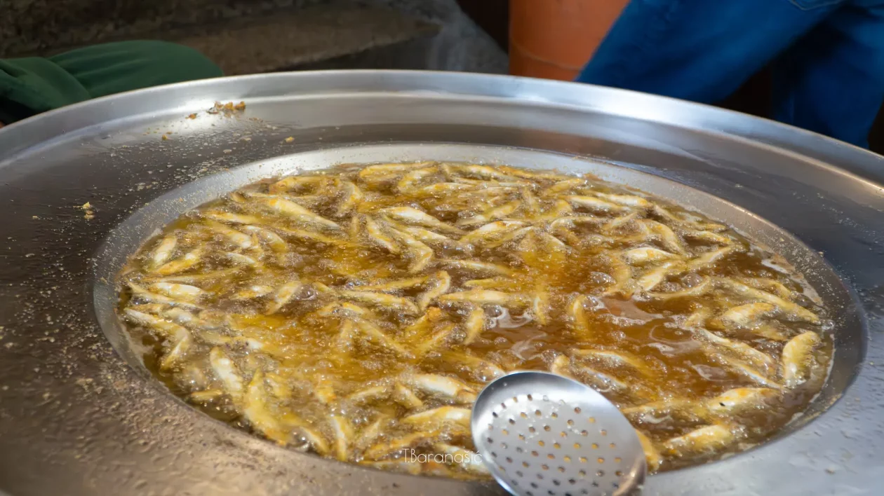 Pečenje ribica Visit Goričan (13)