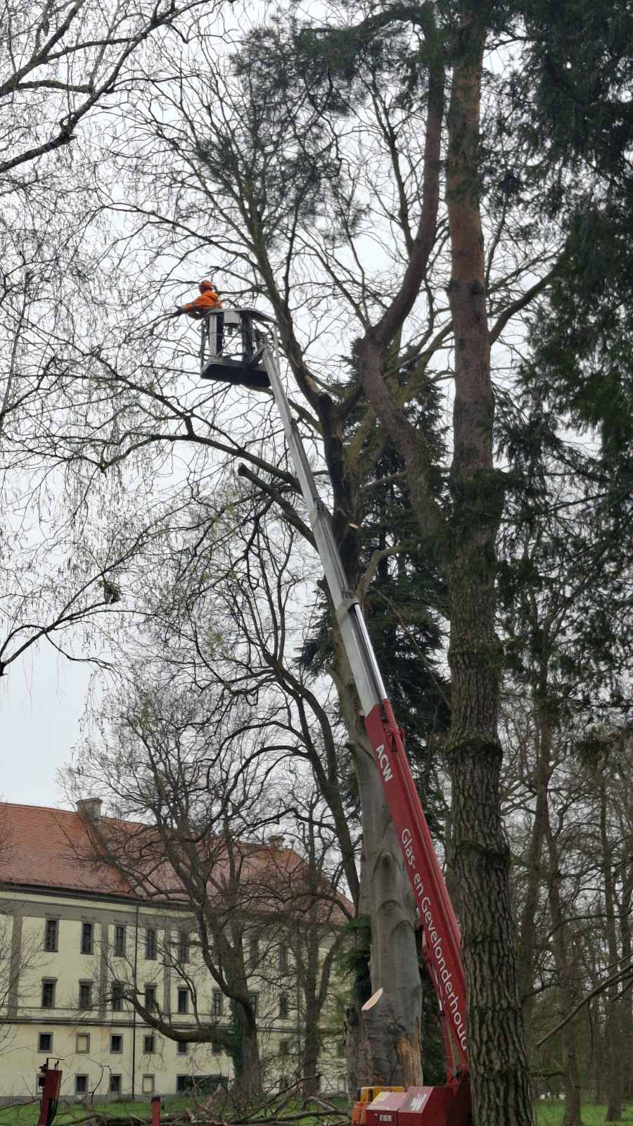 Perivoj zrinskih nevrijeme srušeno stablo (2) Perivoj zrinskih nevrijeme srušeno stablo (2)